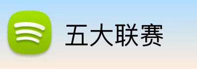 五大联赛 Logo